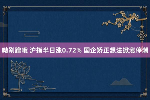 呦剐蹭哦 沪指半日涨0.72% 国企矫正想法掀涨停潮