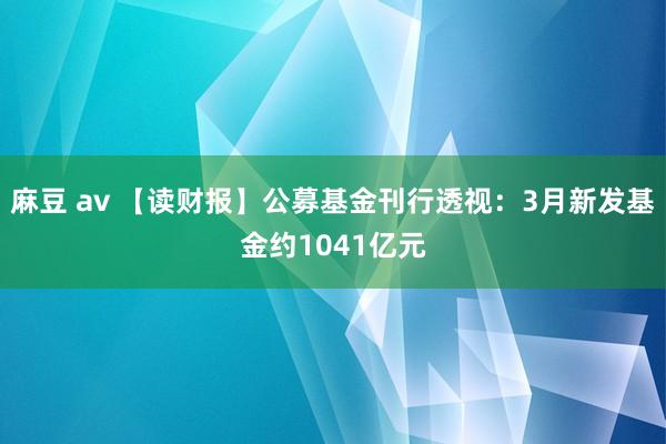 麻豆 av 【读财报】公募基金刊行透视：3月新发基金约1041亿元
