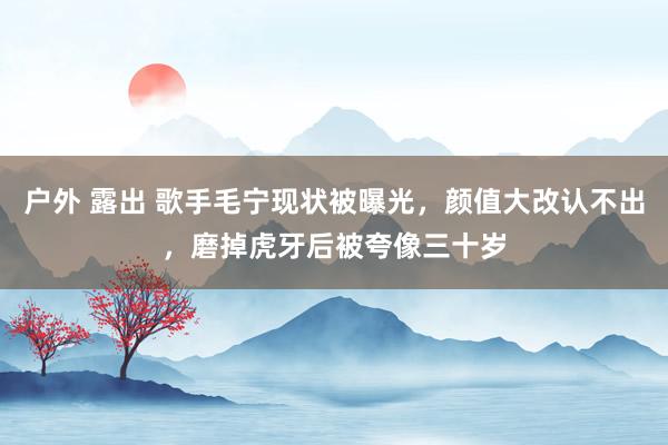 户外 露出 歌手毛宁现状被曝光，颜值大改认不出，磨掉虎牙后被夸像三十岁