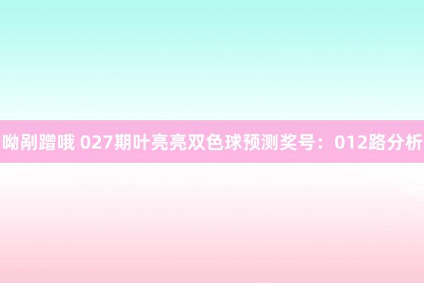 呦剐蹭哦 027期叶亮亮双色球预测奖号：012路分析