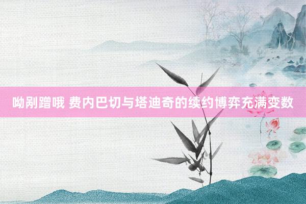 呦剐蹭哦 费内巴切与塔迪奇的续约博弈充满变数